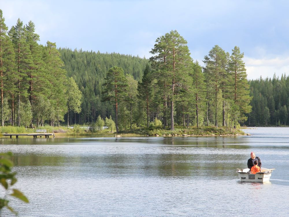 Sortie barque sur un lac