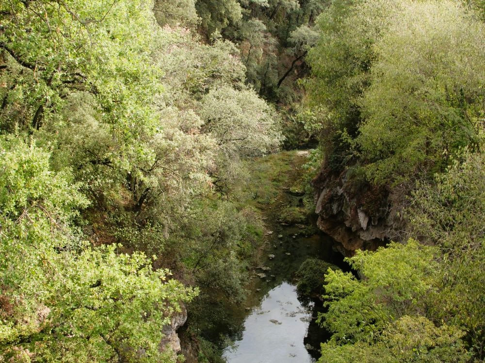 La nature en Dracénie