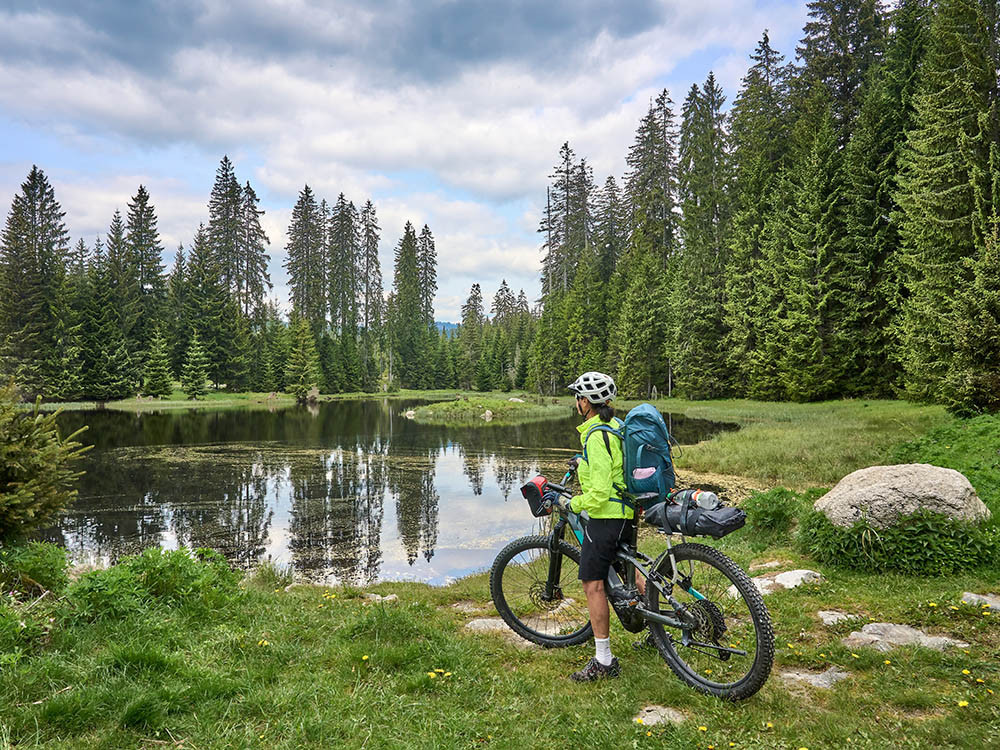 Faire du vélo dans la forêt de Bavière