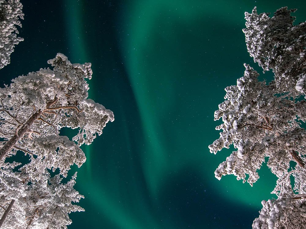 Aurores boréales en Laponie finlandaise
