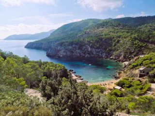 Image pour Ibiza