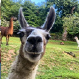 Image pour Booking.com - Glamping agricole