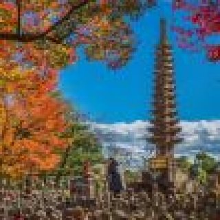 Image pour Atalante - Voyages actifs au Japon