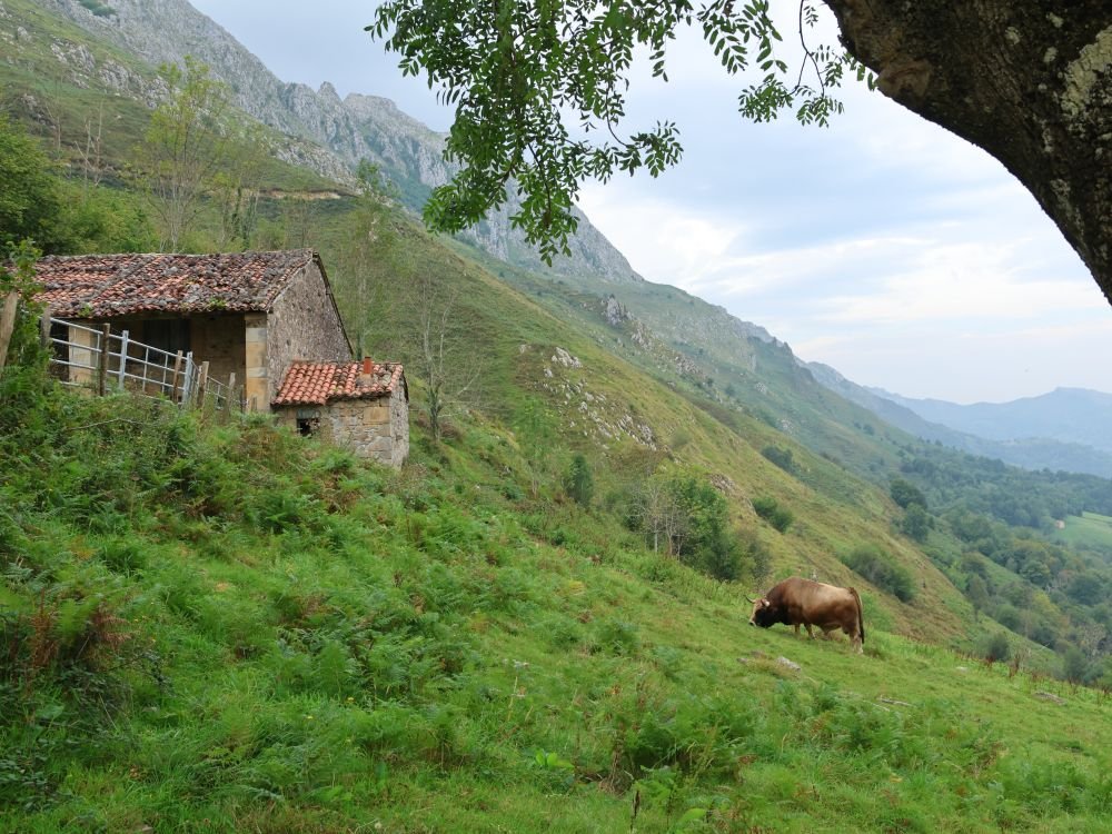 Petite ferme en montagne