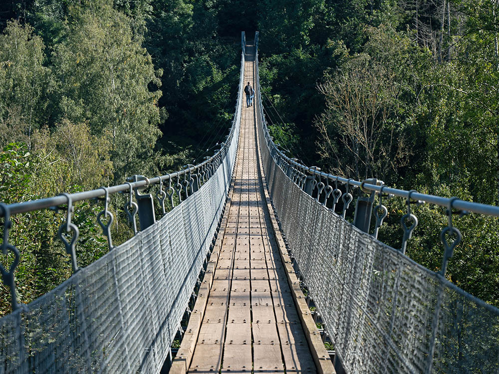 Pont suspendu de Hohe Schrecke