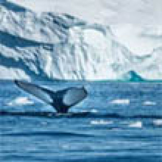 Image pour Nordic - Groenland