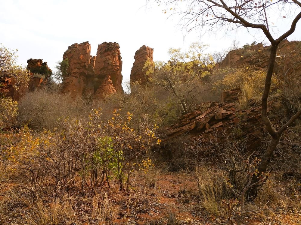 Paysage du Waterberg