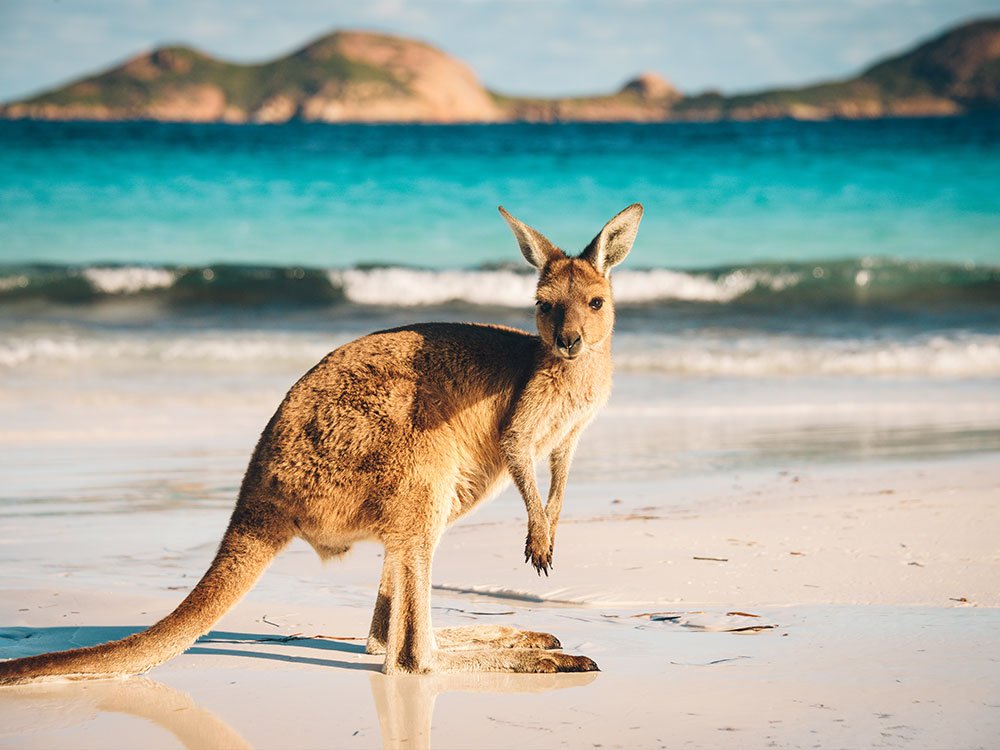 Océanie - Australie