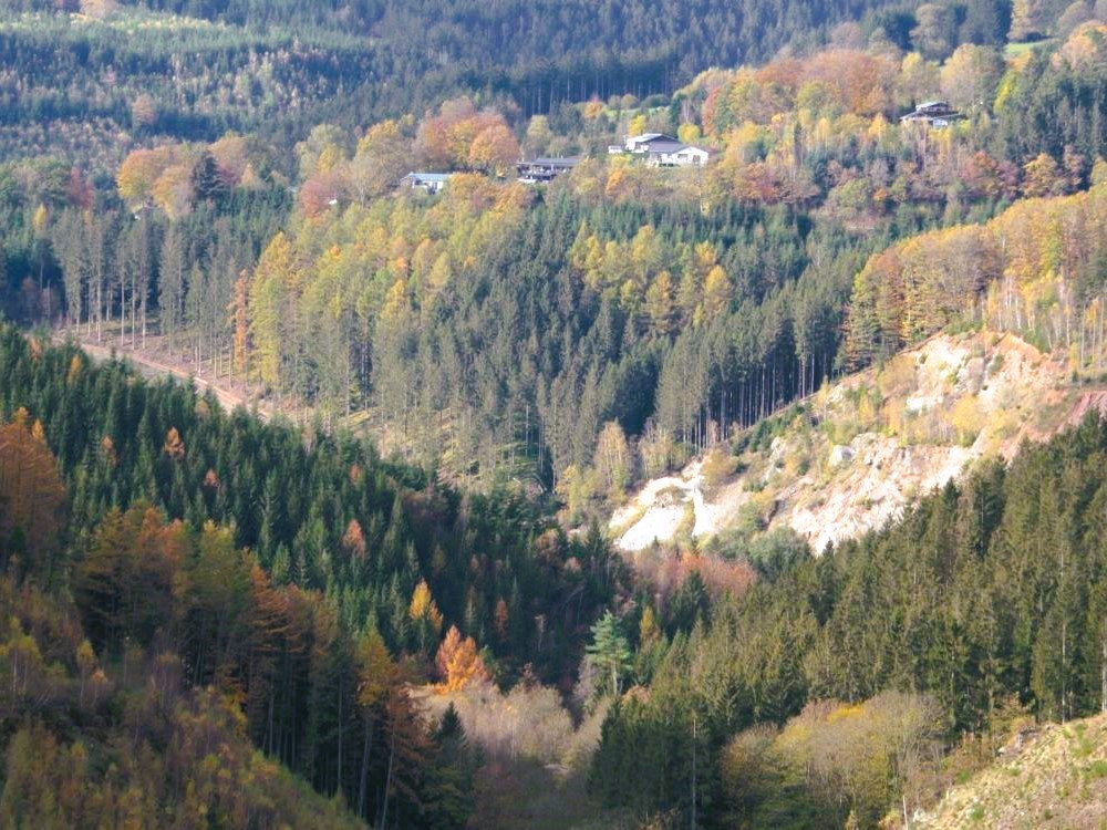 Forêts des Ardennes