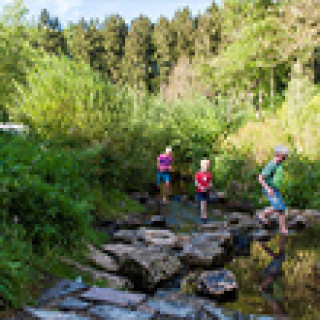 Image pour Landal - Camping Wirttal