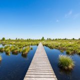Image pour Hautes Fagnes
