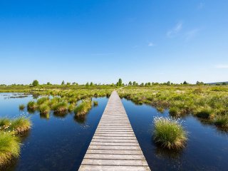 Image pour Hautes Fagnes