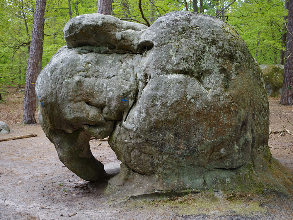 Roche célèbre : l'Éléphant
