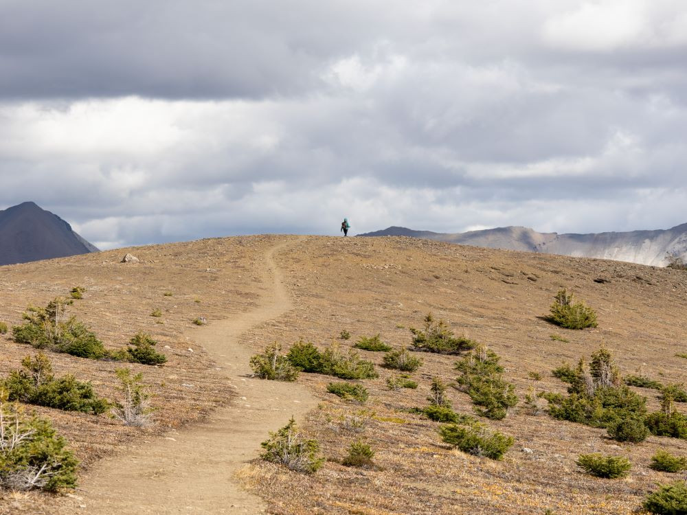 Bald Hills