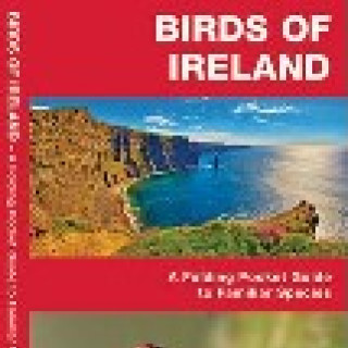 Image pour CONSEIL - Guide des oiseaux Irlande