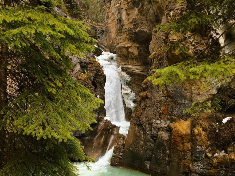 Chutes de Johnston canyon