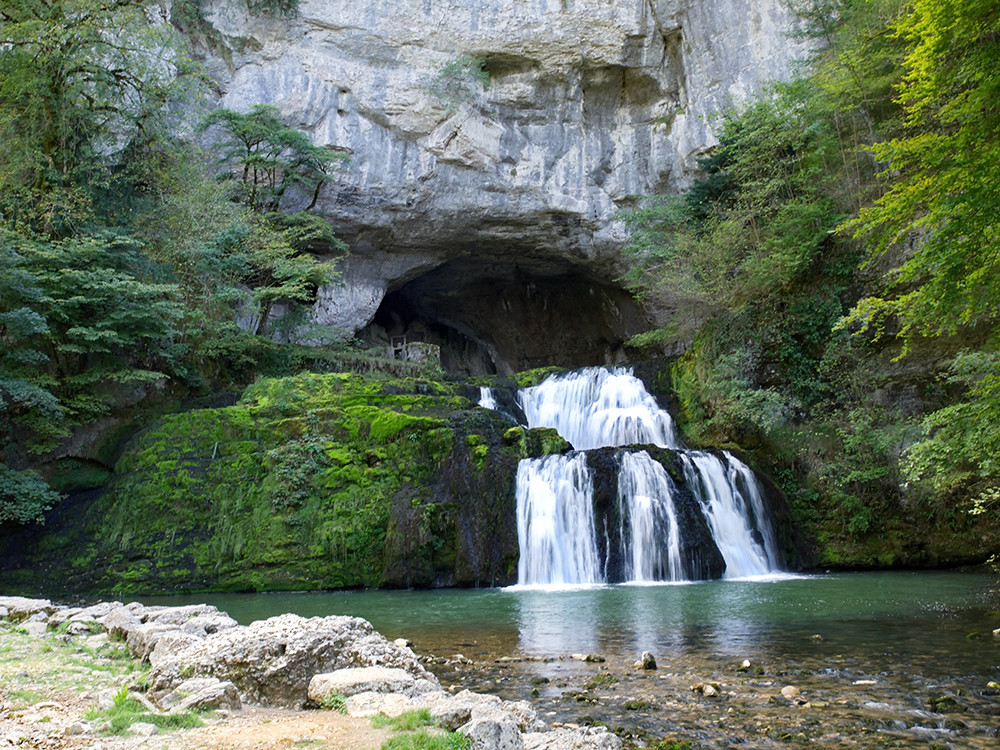 Nature dans le Jura