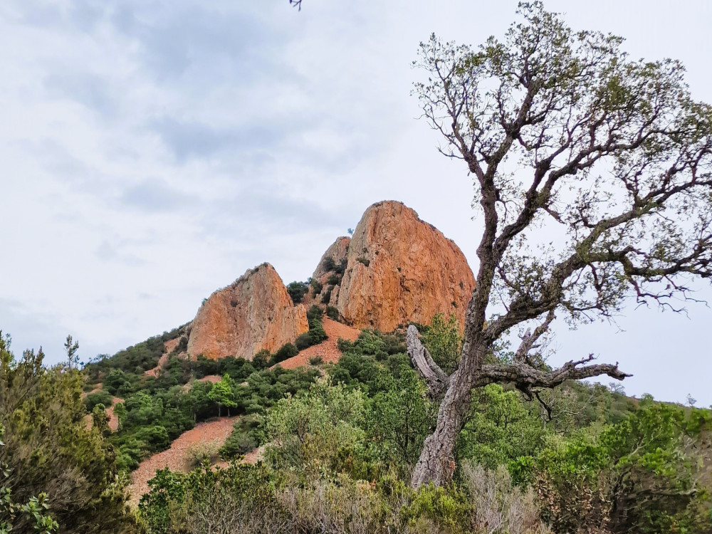 Massif de l'Esterel