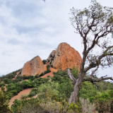 Image pour Esterel