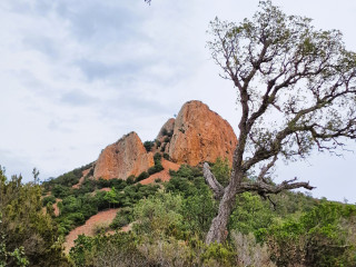 Image pour Esterel