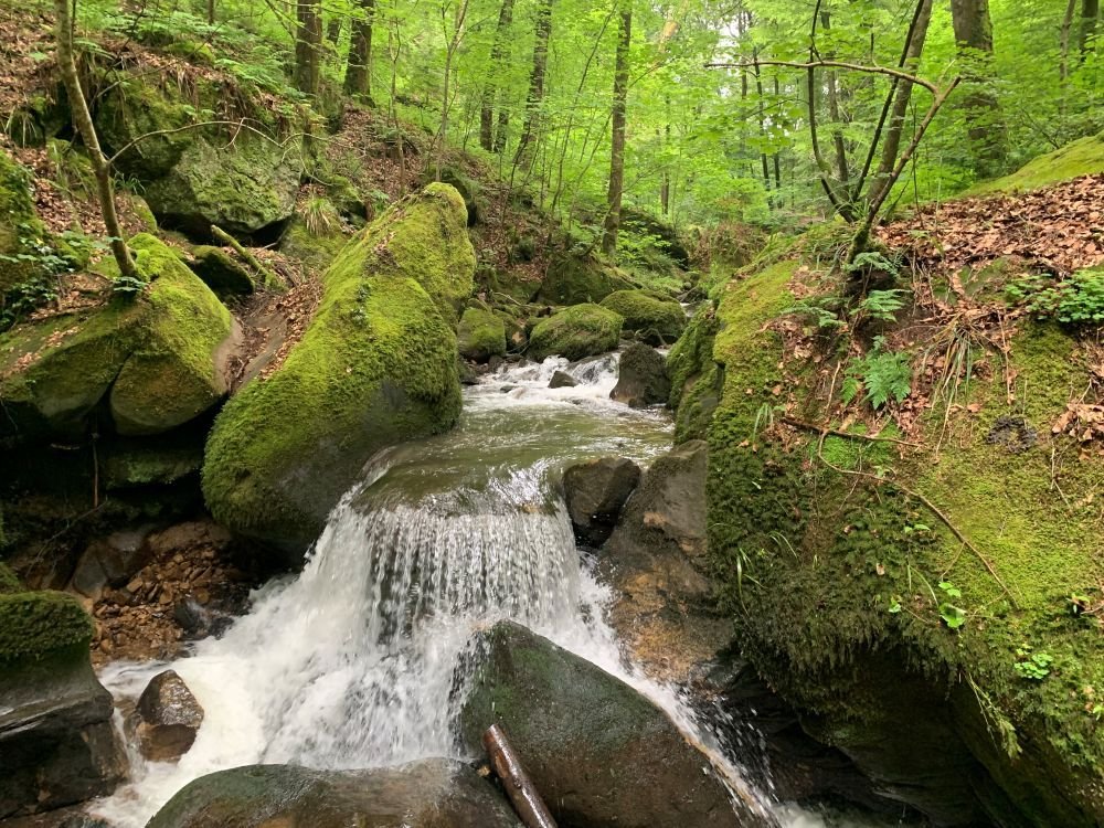Cascade