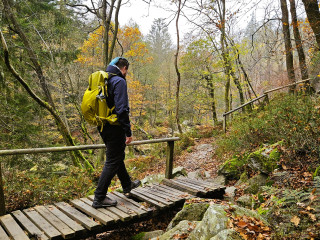 Image pour Actif dans les Ardennes belges