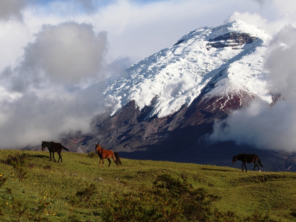 Les Andes