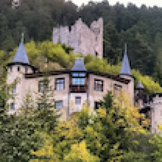 Image pour Booking.com - Schloss Hotel Fernsteinsee