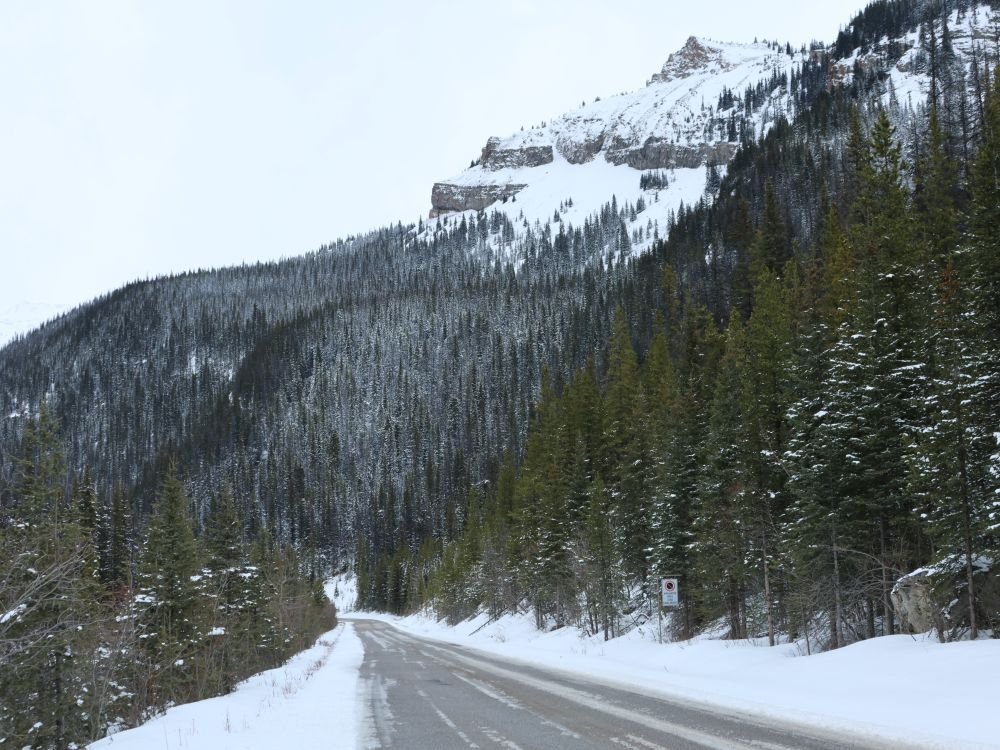 Jasper en hiver