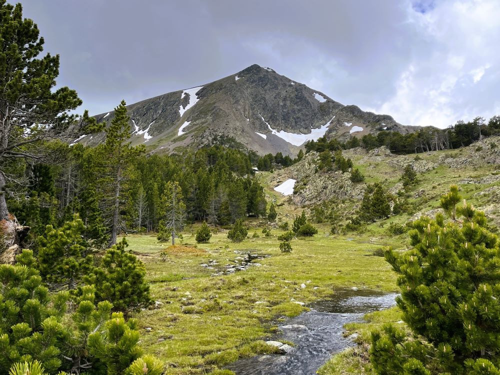 Paysage Étangs Bleus