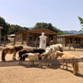 Image pour Booking.com - Entre les chevaux en Corse