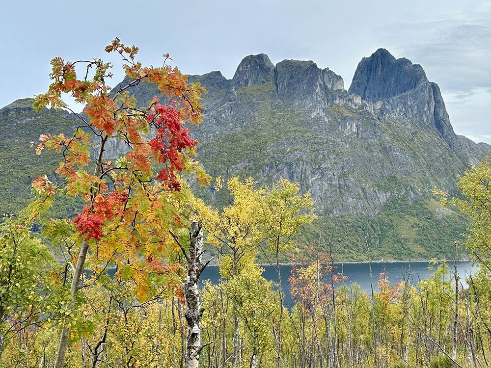 L'automne à Senja