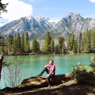 Image pour L'Alberta au Canada