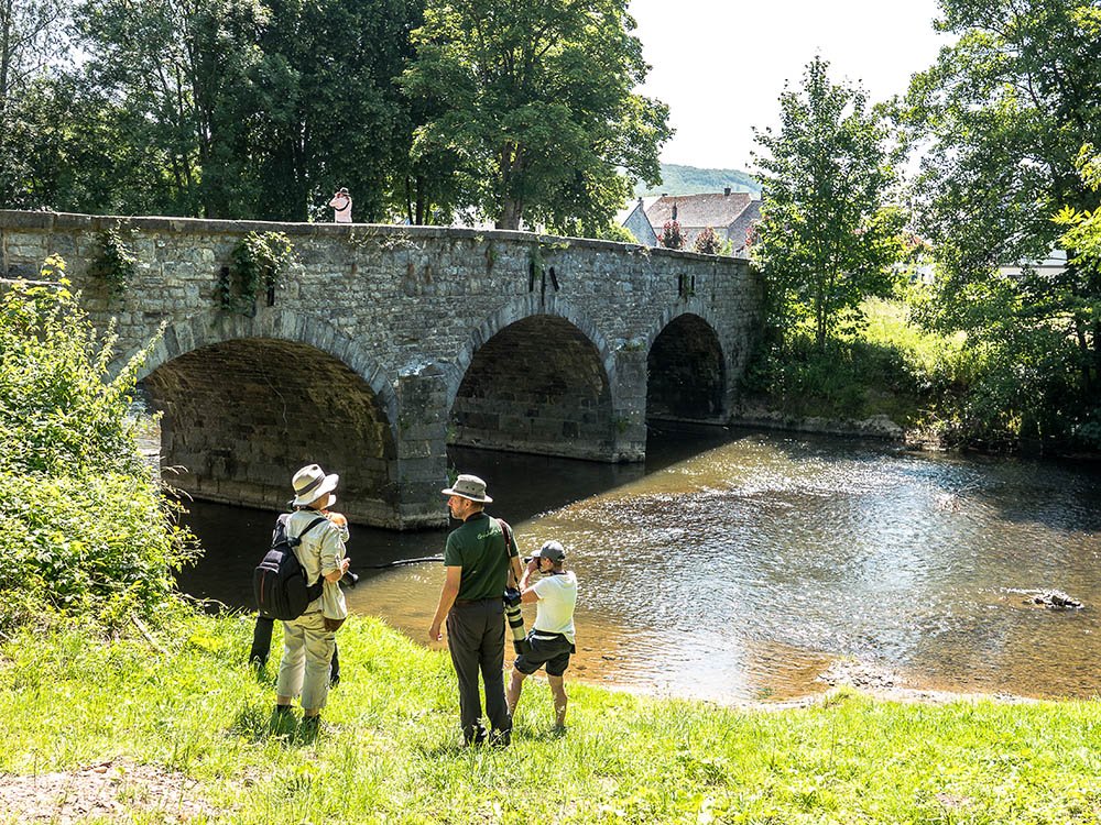 La rivière Viroin