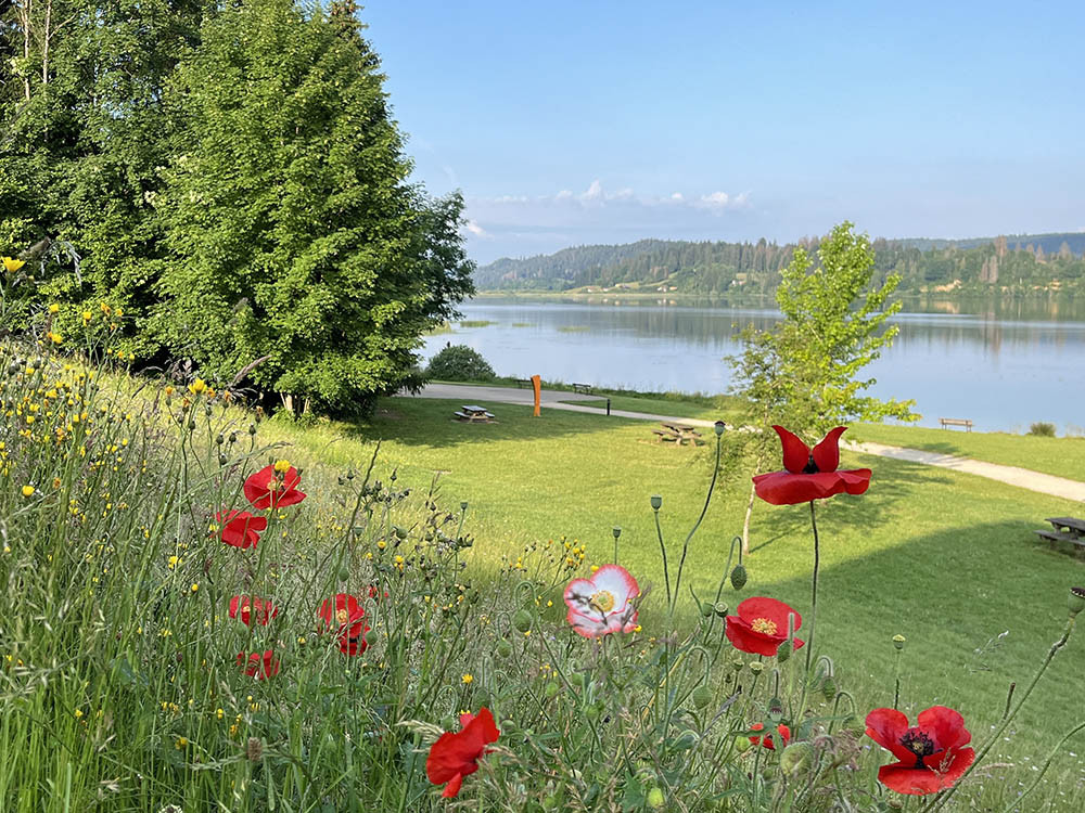 Promenade au bord du lac de Saint-Point