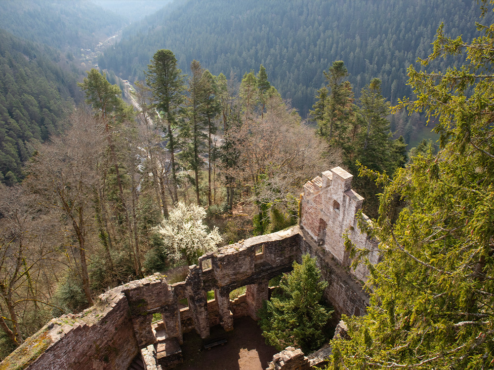 Les ruines de Zavelstein