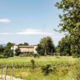 Image pour Get Your Guide - Visites des vignobles