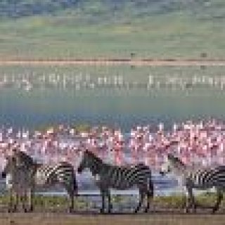Image pour TUI - Tanzanie