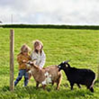 Image pour Un lit au pré - Treganhoe Farm