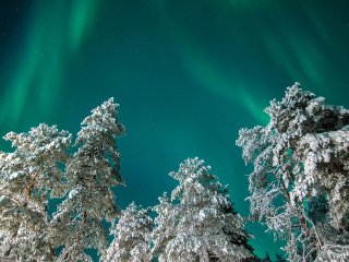 Image pour Aurores boréales