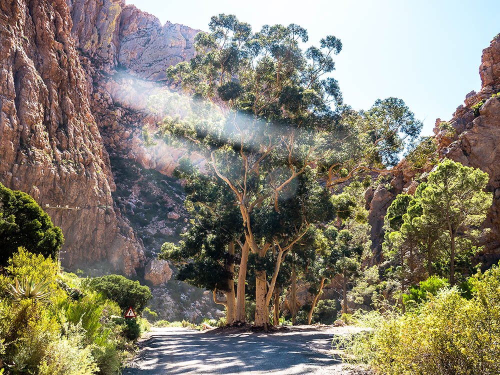 Gorge de Swartberge
