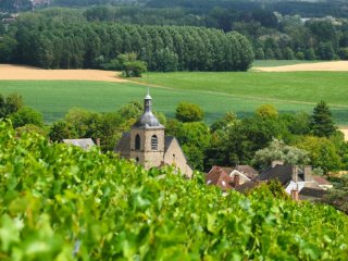 Image pour La Champagne