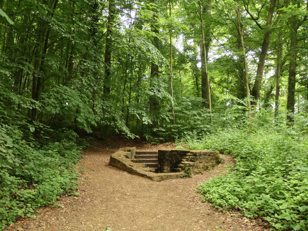 Le parc Draï Eechelen