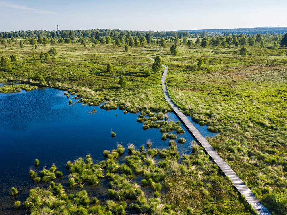 Hautes Fagnes