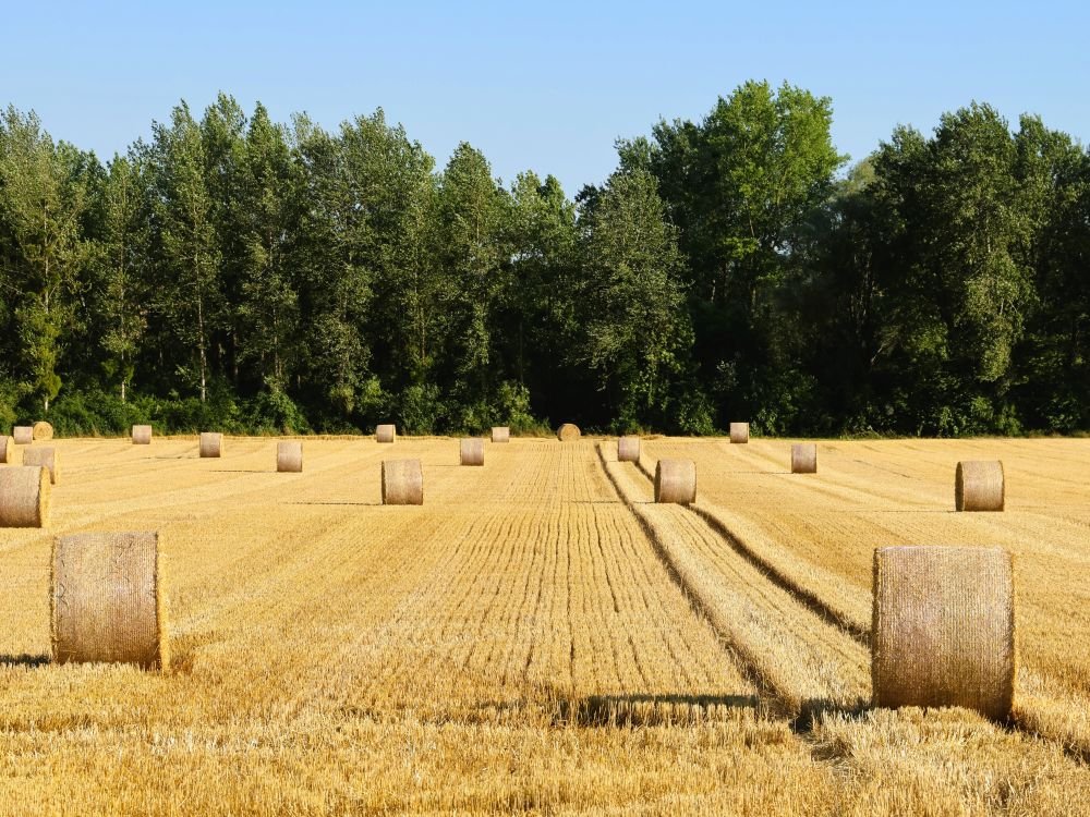 La campagne
