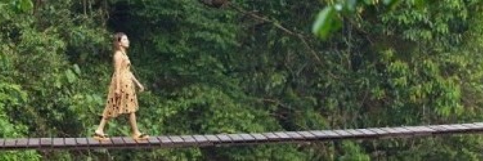 Top foto voor Jungle en Asie