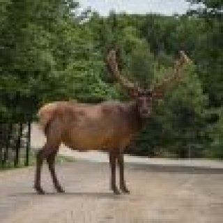 Image pour Atalante - Canada - Trek et randonnée