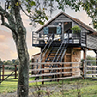 Image pour Booking.com - The Treehouse at Humblebee Hall