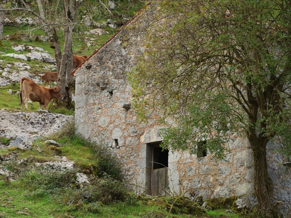 Le long de vieilles granges