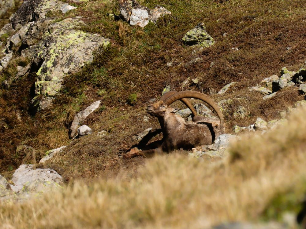 Randonner au milieu de la nature italienne